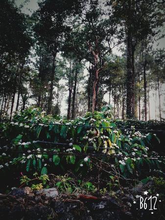 Aditi Thekkady Exterior foto